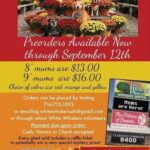White Whiskers Mum Sale event flyer