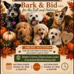 Bark & Bid for the Fall and Holidays event flyer