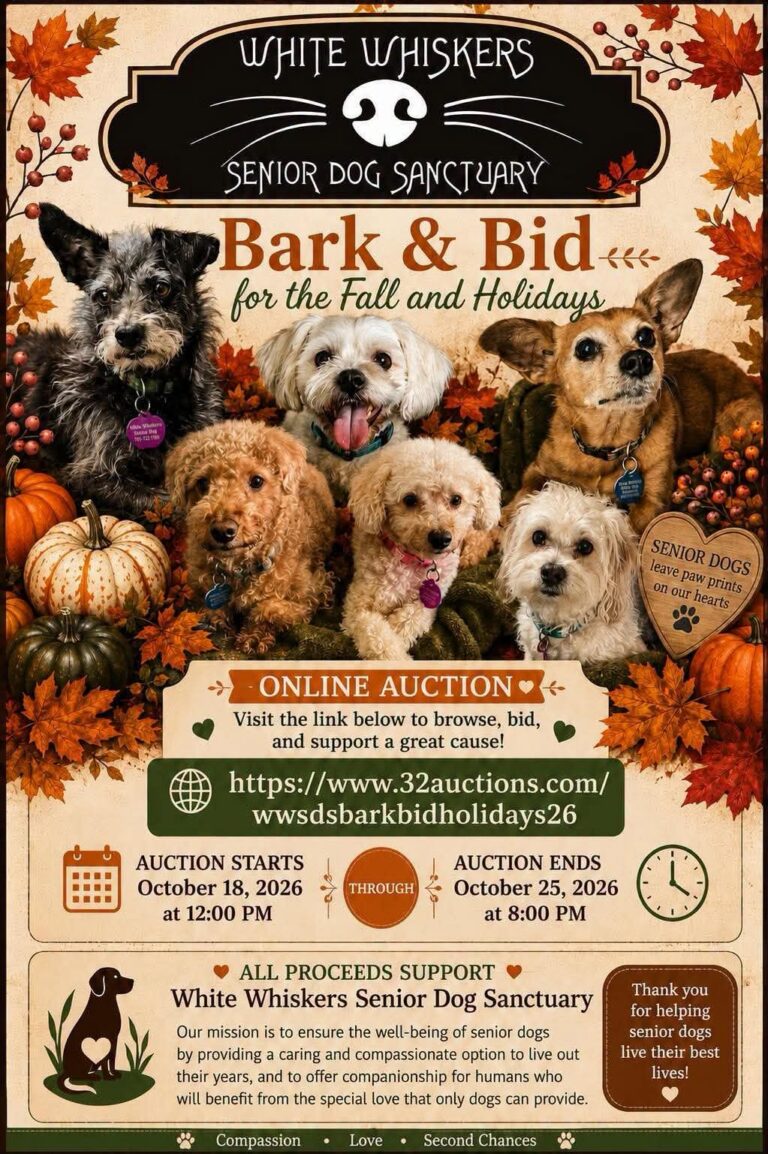 Bark & Bid for the Fall and Holidays event flyer