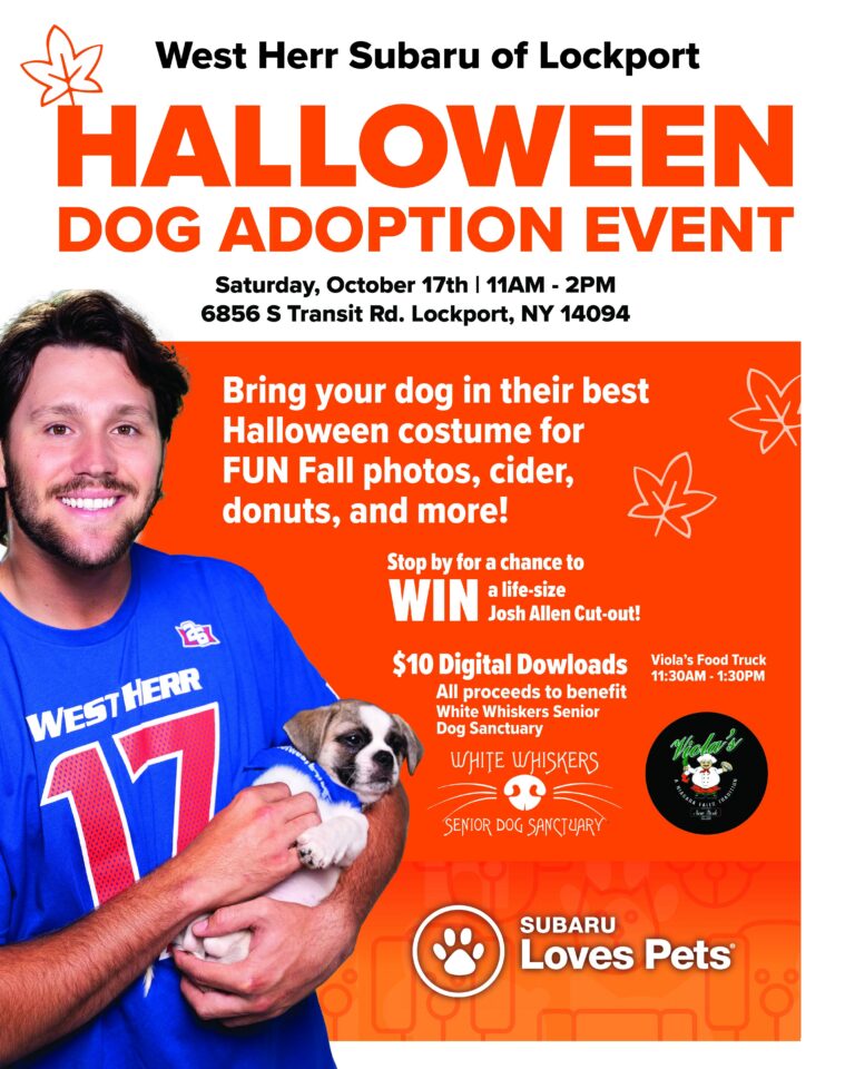Halloween Dog Adoption Event event flyer