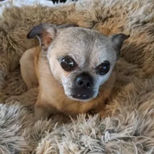 Aimee, waiting at the bridge.