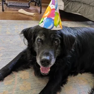 Bear age 16 at the bridge.