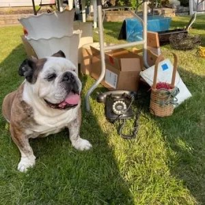 Boo Stevens, 14 and gone too soon!