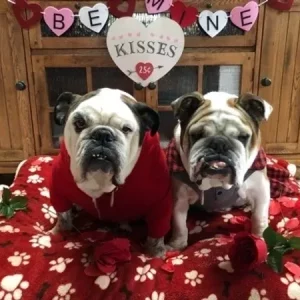 Boo and Princess Buttercup Stevens