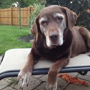 Darwin Miller age 12 at the bridge