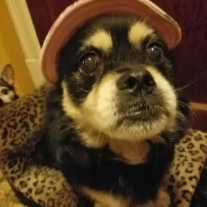 Dirty Martini with 2 Olives age 18.5.