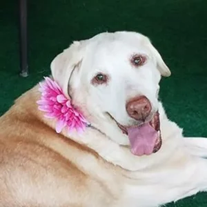 Emma age 15 at the bridge