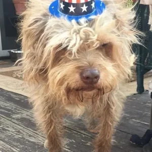 Jack Ciancio, age 15, rescued from Tennesee.