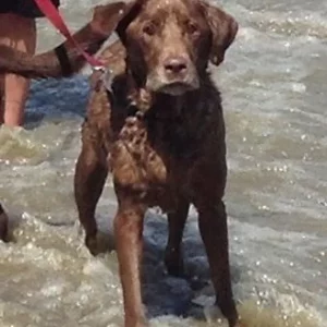 KC Miller age 13 at the bridge