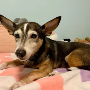 Louie Frankowski age 15; waiting at the bridge.