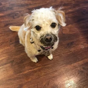 No Mom! I wasn't playing in the mud! - Katie Shepard