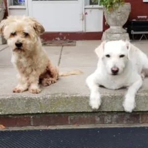 Oliver age 16 and Wilson age 9