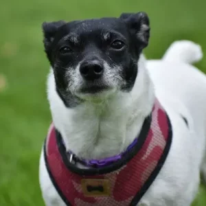 Phiona Phillips age 8