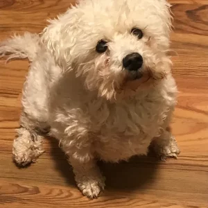 Tucker Borow 16.5 at the bridge