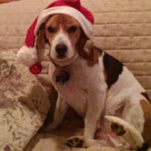 Tucker Truesdell 12 at the bridge